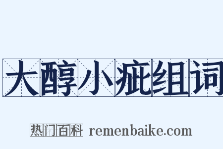 大醇小疵组词是什么意思的图片